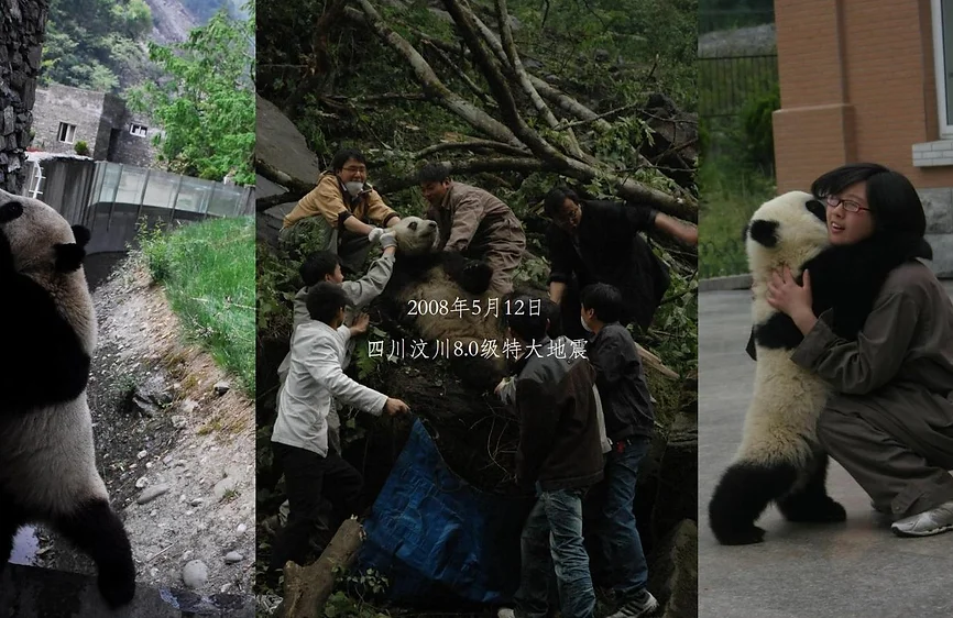https://fortunecharityfund.org/wp-content/uploads/2023/06/ff752f_03f06020502943928c5c897a7f941902mv2.webp