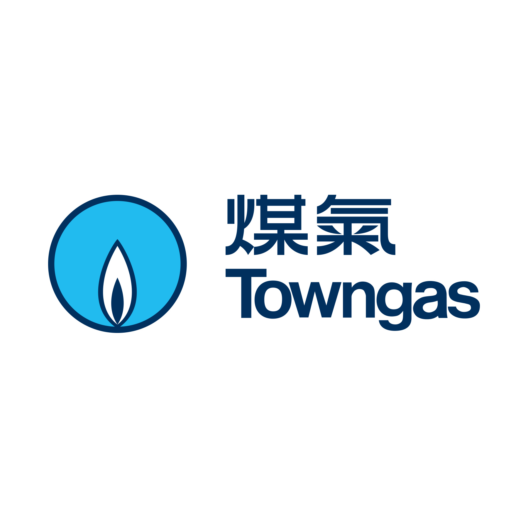 https://fortunecharityfund.org/wp-content/uploads/2024/07/towngas.jpg
