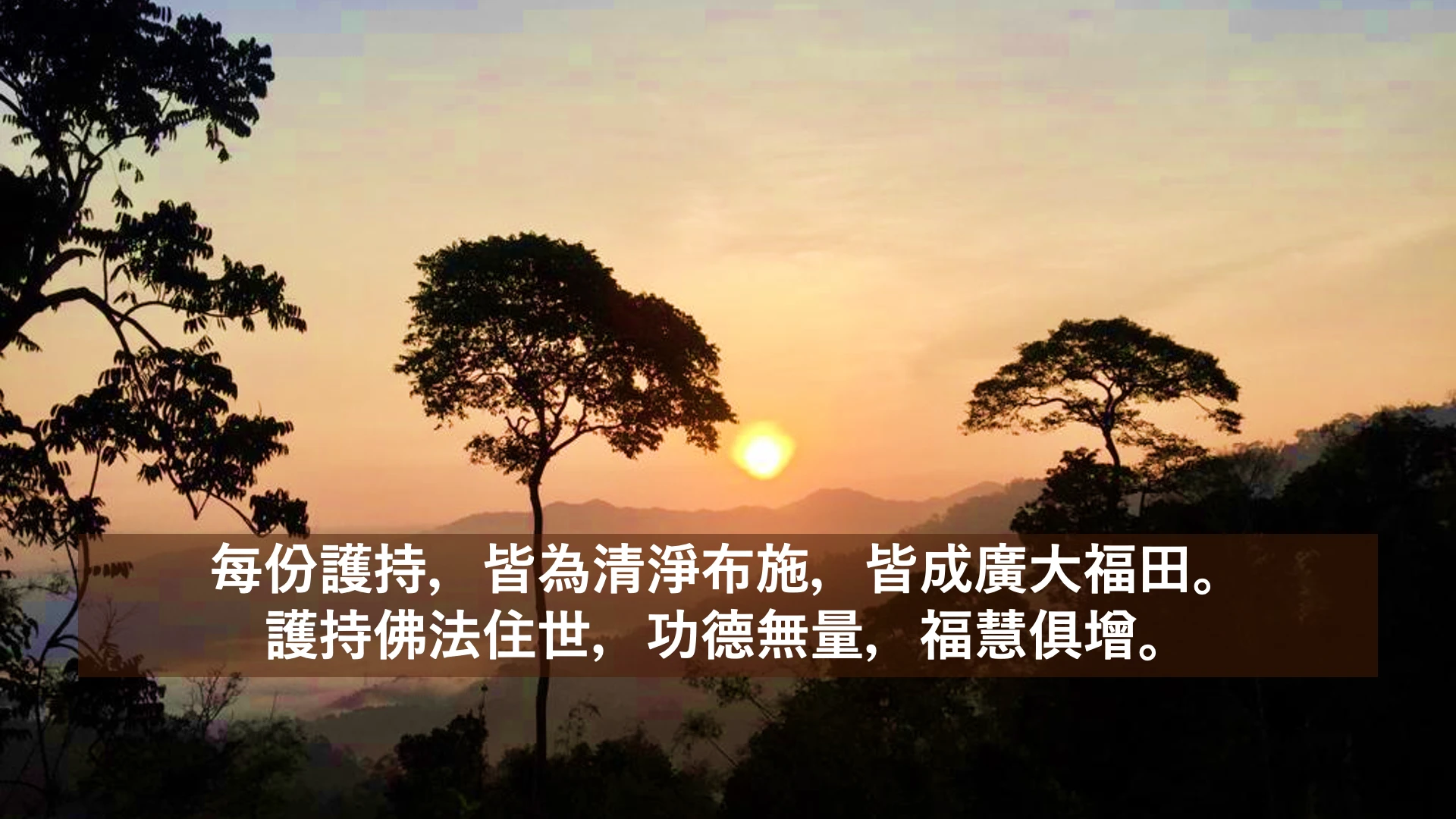 Slide7